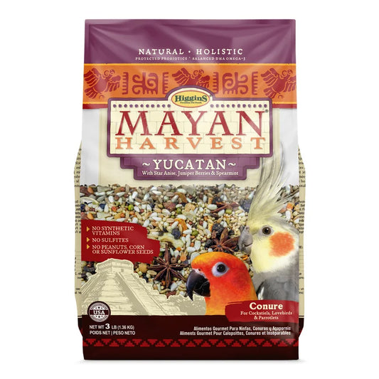 Higgins Mayan Yucatan Conure 3lbs